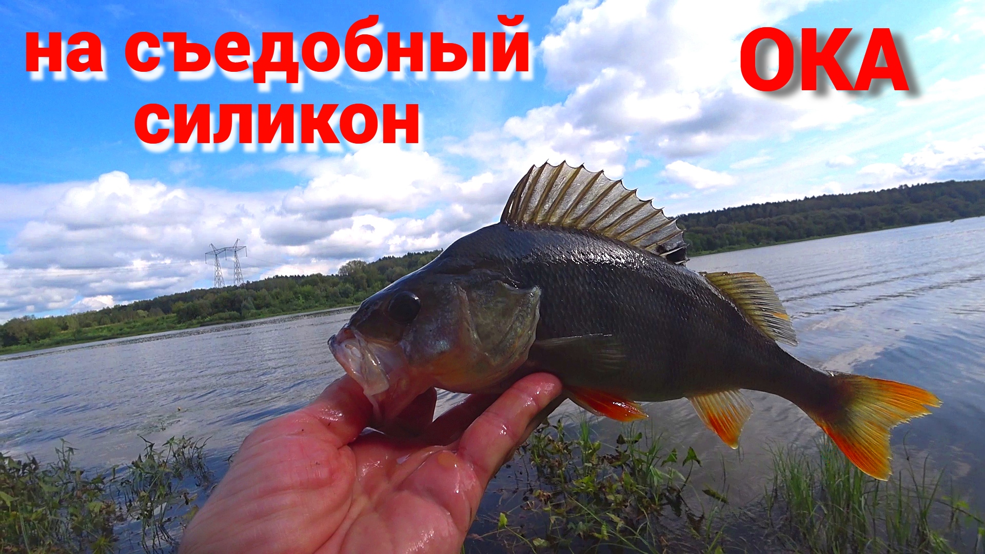 Ловил мелочь и тут МОЩНАЯ ПОКЛЕВКА. Рыбалка на спиннинг на ОКЕ на съедобный силикон.