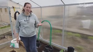 Ранние огурцы сажаем  в мусорные мешки. Новый способ получить ранний урожай зеленцов