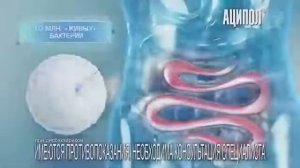 Реклама Аципол  - Октябрь 2020