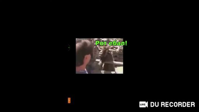 Апаем 5к кубчей в Brawl Stars, залетай! Донат в описании! смотреть онлайн