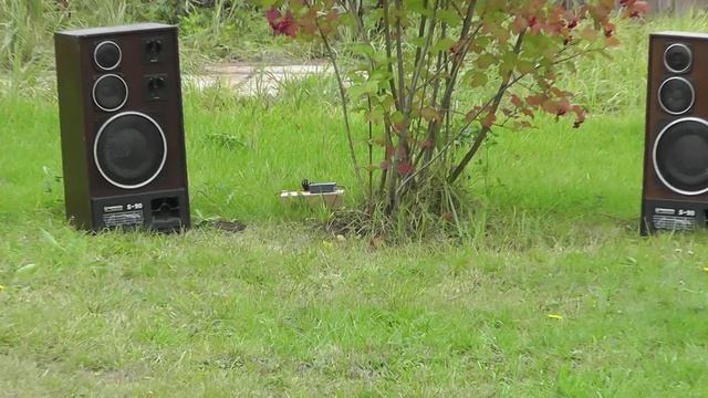 Беспроводной усилитель звука W24G смотреть онлайн