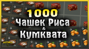 1000 ЧАШЕК РИСА И КУМКВАТА! МЕГА ПРОКАЧКА РЕПУТАЦИИ МУДРЕЦА! Last Day on Earth: Survival