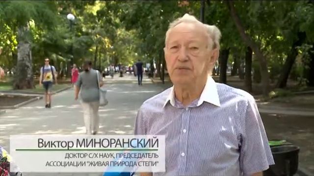 «Жизнь мусора» смотреть онлайн