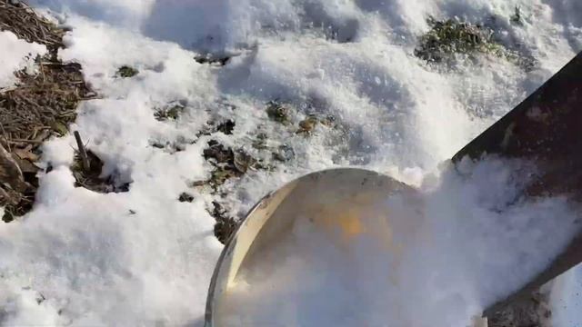 Что пьют куры несушки зимой в мороз