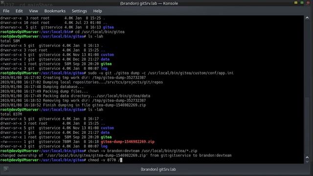 Gitea Self Hosted git Repository Backup on Ubuntu 18 04 without git user password смотреть онлайн