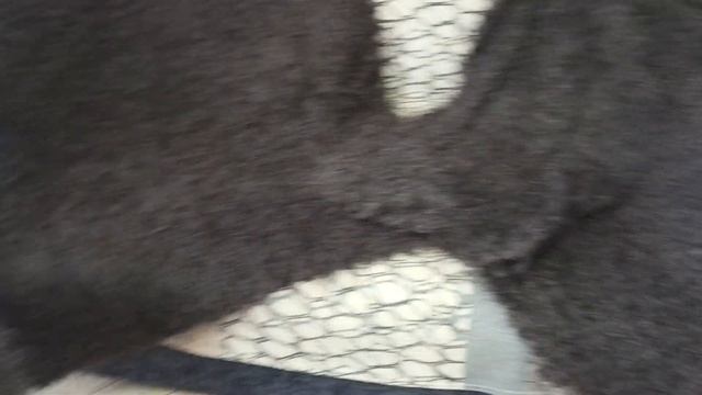 Теплые пуховые классические платки из темно серого козьего пуха. Обзор наличия на 13.10.2023 смотреть онлайн