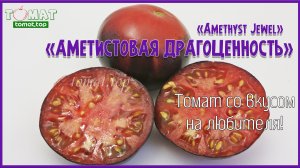 Томат Аметистовая драгоценность. Томат Amethyst Jewel.Описание, характеристики, отзывы и всё о сорте