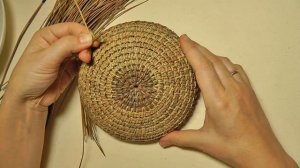Начало кругового плетения сосновыми иголками