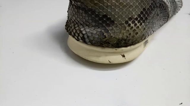 Отреставрировал кожу питона на кроссовках, смотри что получилось! Как отреставрировать кожу змеи?
