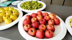 Delphin Deluxe resort/Alania/Сезон 2023/Полный обзор/Детская концепция