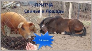 Притча о Свинье и Лошади