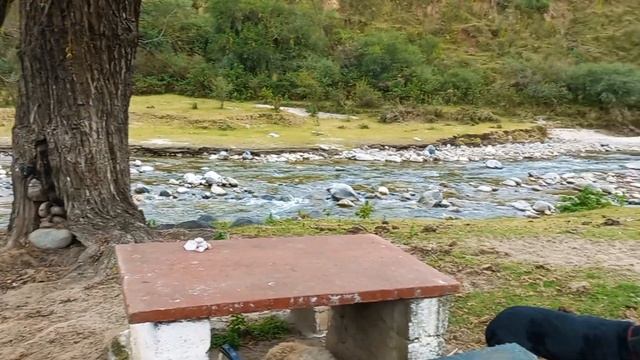 RUTA 4 DE RIPIO A LOS VARELA, CATAMARCA ?? #kangoocamper #vanlife #viajeros смотреть онлайн