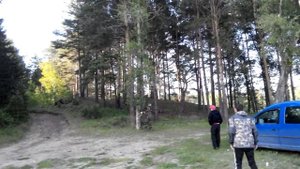 Придурки валят дерево на машину