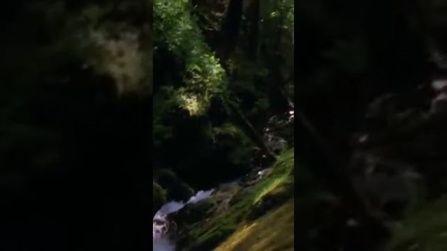 Медитация "Очищение сознания. Расслабление и спокойствие" смотреть онлайн