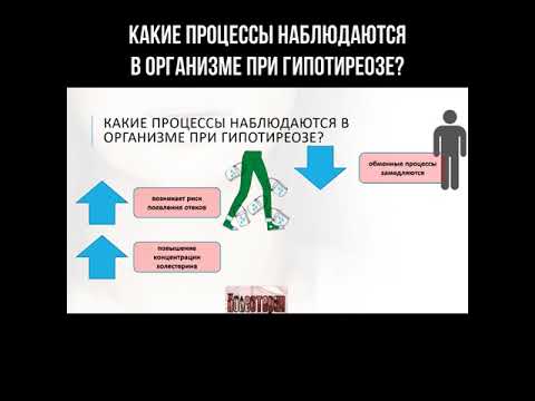 Какие процессы наблюдаются в организме при гипотиреозе? смотреть онлайн
