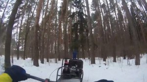 На мотособаке по лесу / мотобуксировщик Север