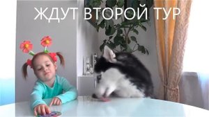 София и Фрэнк в челлендже пирог в лицо.