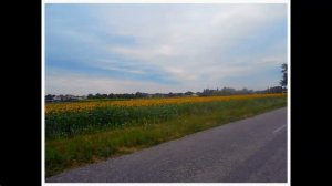 Разве у Вас не бывало в жизни подобных минут