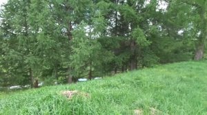 ГДЕ ЭТО МЕСТО в Костромской области? Смотрим внимательно!