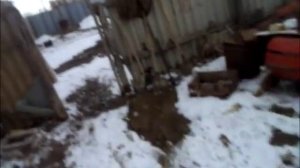 Охота с пневматическое винтовки (Воздушка)