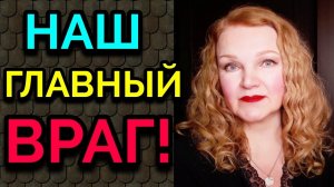 Сахар или жир, - что вреднее для организма и приводит к ожирению? Обзор фильма BBC. № 574