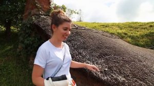 ХОББИТОН В НОВОЙ ЗЕЛАНДИИ / ТУР ПО МИРУ ФИЛЬМОВ 'ХОББИТ' И 'ВЛАСТЕЛИН КОЛЕЦ'  / VLOG #48