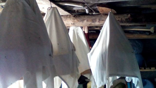 Зимнее содержание перепела обыкновенного (Бедана) в Крыму смотреть онлайн