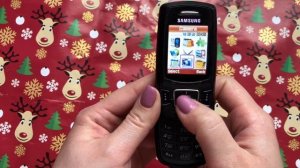 Samsung SGH-E370 (2006 year) Incoming call+ Phone review