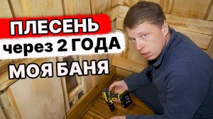 МОЯ БАНЯ! Вскрыл ПОЛ и СТЕНЫ! Появился грибок на доске через 2 года? Конденсат.