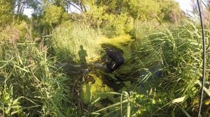 Ломаем плотину бобров / Breaking Beavers' dam