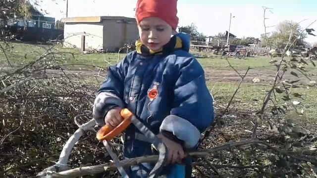 Пилим ветки