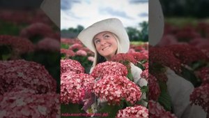 Гортензия древовидная `Пинк Аннабель II` Hydrangea arborescens `Pink Annabelle II` (Invincibelle)®