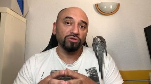 Работа в Новой Зеландии в 2022 году. Самые востребованные специальности - как получить работу