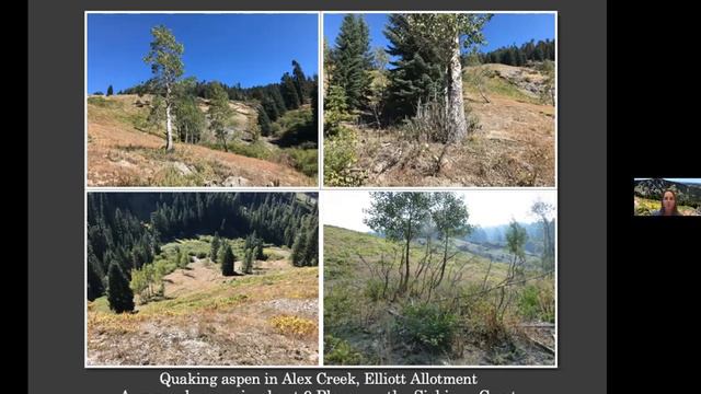 TALK: Public Land Grazing in the Siskiyou Mountains; & Shiny Geranium Announcement смотреть онлайн