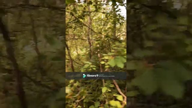 Аракчеевский тракт на бархане смотреть онлайн