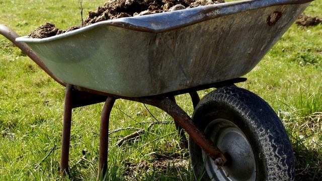 ЭТОТ СЕКРЕТ ПОМОЖЕТ КОПАТЬ ПО ВЕДРУ КАРТОШКИ С ОДНОГО КУСТА! Делюсь своей уловкой