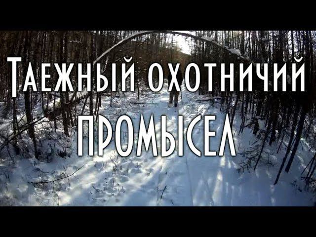 СКОРО. ТАЕЖНЫЙ ОХОТНИЧИЙ ПРОМЫСЕЛ. ПУТЬ