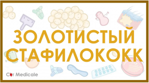 Золотистый стафилококк - микробиология, токсины, лечение, устойчивость