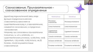 Имя прилагательное в латинском языке.