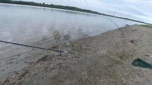 Бешенный клёв Леща на Иртыше в Омске