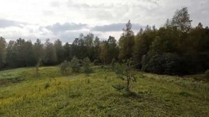 Реальный обзор квадроцикла CFMOTO CFORCE 400L EPS 800км, покатушки, тест на скорость