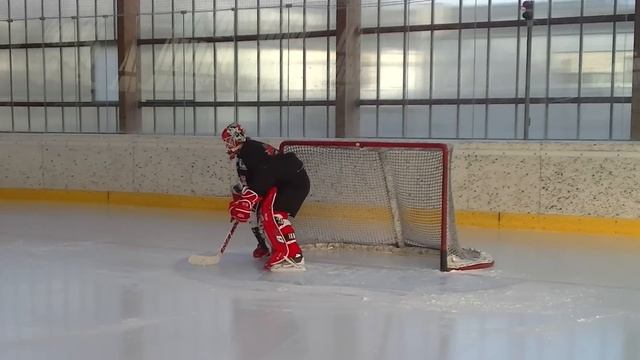 Effortless goalie movement and butterfly slide to blocker side смотреть онлайн