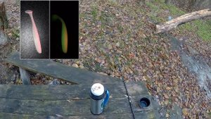 Ловля хищника возле плотины