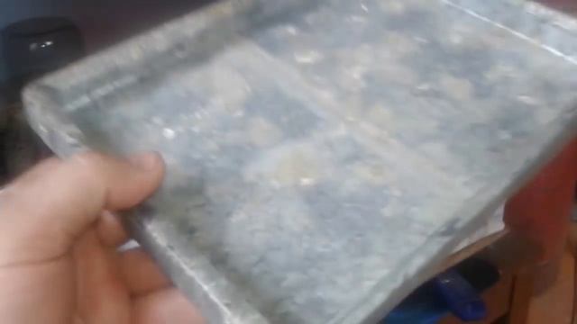Перепелки от яйца до месяца Эстонцы и Техасский бройлер