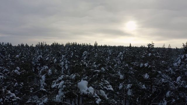 26 февраля- ПРОЩЁНОЕ ВОСКРЕСЕНЬЕ. Что нельзя делать в Прощёное Воскресенье. Народные традиции.