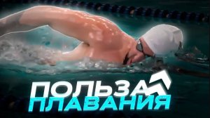 Почему плавание изменит Вашу жизнь. Удивительные преимущества для здоровья