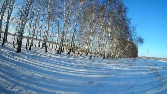 Заяц в лисьей норе смотреть онлайн