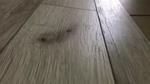 Кронопол 4926 Дуб Римини