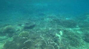 Вьетнам. Нячанг. Снорклинг у берегов острова Винперл.