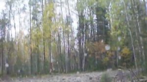 На УАЗе по тайге. Часть 2